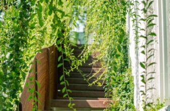 [☕️🇻🇳] ForDeer – Coffee with tree 🥤 Top1Coffee ☕️ Nắng ở Tô Hiệu…Mưa rả rích suốt mấy ngày dài nên Rừng ngồi ngắm lại những ngày nắng. Và hình như vào những ngày mưa như thế nà , shares-1✔️ , likes-48❤️️ , date-2023-08-04 17:51:58🇻🇳🇻🇳🇻🇳📰🆕