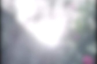 [🆕🇻🇳] Su Béo – Thời trang thiết kế cho bé yêu – Designs for our loves ♥ 🧑‍🧒❤️️👶⭐️ Năm nay vẫn miệt mài thêu đầm đỏ, và thêm nhiều màu khác nữa
Một ngày bình thường  #linhtinh
, shares-0✔️ , likes-16❤️️ , date-2023-11-08 13:42:06🇻🇳🇻🇳🇻🇳📰🆕