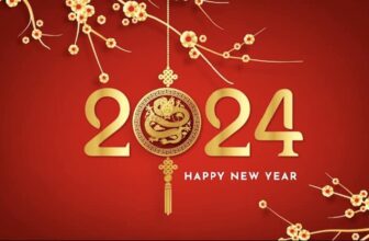 [🆕🇻🇳]  LT’s KID Shop-Chuyên hàng thiết kế cao cấp 🧑‍🧒❤️️👶⭐️ Nhân Dịp Năm Mới Kính Chúc Quý Chị Em cùng Gia Đình luôn Đong Đầy Hạnh Phúc-Sức Khoẻ Tràn Đầy-An Khang Thịnh Vượng-Như Ý Cả Năm.
Happy New Year 2024!!!
, shares-0✔️ , likes-8❤️️ , date-2024-02-10 02:01:03🇻🇳🇻🇳🇻🇳📰🆕