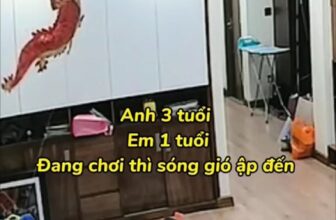 [🆕🇻🇳] MẦM BABY-Chuyên đồ gia đình 0-100kg và Quần áo cho bé từ 0-6 tuổi 🧑‍🧒❤️️👶⭐️ Mẫu ruột nhà MẦM BABY lên xu hướng  gương mặt ko còn xa lạ với những khách iu nhà Mầm. Vừa xinh zai vừa thông minh xứng đáng triệu người iuuuuu
Còn nhỏ mà , shares-0✔️ , likes-9❤️️ , date-2024-02-21 17:00:01🇻🇳🇻🇳🇻🇳📰🆕