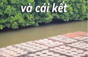 [🆕🇻🇳] Cua Cà Mau Anh Thái 🍔 Top1Food 🍜 Mình Làm Bánh Tráng Với Cá Cơm Ý Cả Nhà
#cuacamauanhthai
#cacombanhtrang
#anhthai
#đồkhô
#dokho
#banhtrang
#xuhuong
#hottrend
#trend… Xem thêm
, shares-0✔️ , likes-0❤️️ , date-2024-03-29 15:32:09🇻🇳🇻🇳🇻🇳📰🆕