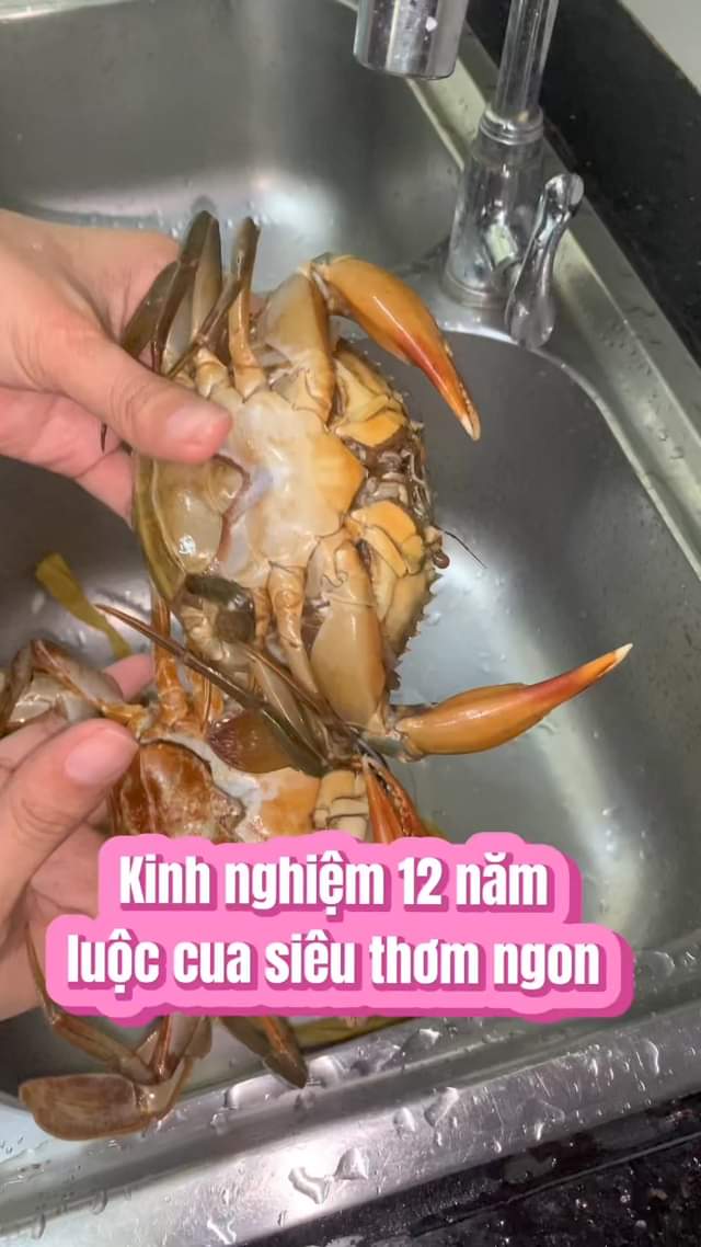 [🆕🇻🇳] Cua Cà Mau Anh Thái 🍔 Top1Food 🍜 KINH NGHIỆM 12 NĂM LUỘC CUA SIÊU NGON, SIÊU THƠM
 Lâu lâu bé xin nhắc lại với cả nhà mình là shop nhà bé bán cua năm nay là 13 năm rồi nè.
  Chỉ bán cua ng , shares-0✔️ , likes-0❤️️ , date-🇻🇳🇻🇳🇻🇳📰🆕