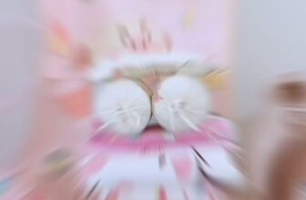 [🆕🇻🇳]  Xưởng chuyên sỉ đồ mẹ và bé Đông Lan 🧑‍🧒❤️️👶⭐️ SALE SALE 50% 𝐂𝐁 𝐒𝐎̛ 𝐒𝐈𝐍𝐇 𝐃𝟏𝟕 𝑇𝑅𝐼 𝐴̂𝑁 – 𝐺𝐼𝐴̉𝑀 𝑆𝑂̂́𝐶 𝟏.𝟐𝟗𝟗𝐤.
𝐵𝑎𝑜 đ𝑒̣𝑝 , đ𝑎̂̀𝑦 đ𝑢̉ , 𝑡𝑖𝑒̂́𝑡 𝑘𝑖𝑒̣̂𝑚 .
𝑏𝑎𝑜 𝑘𝑖𝑒̂̉𝑚 ℎ𝑎̀𝑛𝑔 .
𝑞𝑢𝑎̀ 𝑛𝑔𝑎̣̂𝑝 𝑡𝑟𝑎̀𝑛  𝐿𝑢̛𝑢 𝑙𝑦́: 𝑚𝑖𝑒 , shares-2✔️ , likes-315❤️️ , date-2024-05-24 16:56:47🇻🇳🇻🇳🇻🇳📰🆕