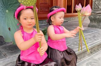 [🆕🇻🇳]  Sweetie by Josie – Thời trang cho bé 🧑‍🧒❤️️👶⭐️ Hoá thân thành cô Tấm trong sét yếm đào, các mẹ mau rinh về cho bé để chụp ảnh nào <3
Giá hạt dẻ chỉ 69k/sét
Size 1: 7-10kg
Size 2: 10-12kg
Size 3: , shares-0✔️ , likes-0❤️️ , date-2024-04-13 01:44:32🇻🇳🇻🇳🇻🇳📰🆕