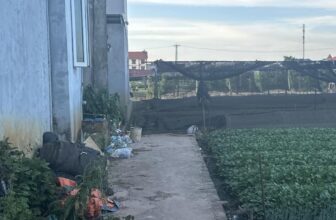 [🆕🇻🇳] Hiền Vinh Hvkids  (Xưởng may HV Kids) 😎❤️️⭐️ Cần bán siêu phẩm thư phú
Lô 1, lô 2  , lo 3 giá 2x tr m bao sổ
Lh em ngay để đi xem đất nhé :0387399106
, shares-0✔️ , likes-13❤️️ , date-2024-07-19 16:01:01🇻🇳🇻🇳🇻🇳📰🆕