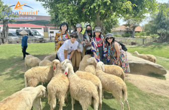 [🆕🇻🇳] Alpha Travels – Kênh Du Lịch Khám Phá ♥️️ Top1Checkin ☑   𝐓𝐎𝐔𝐑 Đ𝐎̂̀𝐍𝐆 𝐂𝐔̛̀𝐔 – 𝐇𝐀𝐍𝐆 𝐑𝐀́𝐈 – 𝐕𝐔̛𝐎̛̀𝐍 𝐍𝐇𝐎 – 𝐕𝐈̃𝐍𝐇 𝐇𝐘  2⃣0⃣2⃣4⃣
K̳h̳á̳m̳ ̳p̳h̳á̳ ̳t̳o̳u̳r̳
𝟬𝟴𝗵𝟬𝟬: Xe và HDV đón quý khách  , shares-0✔️ , likes-1❤️️ , date-2024-07-23 18:24:27🇻🇳🇻🇳🇻🇳📰🆕