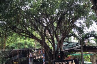 [☕️🇻🇳] Cà phê Ngọc Hà- Cafe sân vườn 🥤 Top1Coffee ☕️ Cà phê Sân Vườn Ngọc Hà
Một không gian xanh mát giữa phố thị
————-
HÂN HẠNH ĐƯỢC TIẾP ĐÓN BẠN
Cà Phê Sân Vườn Ngọc H , shares-0✔️ , likes-17❤️️ , date-2024-07-23 18:36:18🇻🇳🇻🇳🇻🇳📰🆕