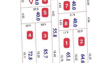 [🆕🇻🇳] Hiền Vinh Hvkids  (Xưởng may HV Kids) 😎❤️️⭐️ Đất đào Xá Thắng Lợi cách ql1a có 200m lô số 6 . Dt 40  m2 , mặt tiền và hậu rộng 4,62m
cách trục chính 20m
Lh hiền 038739910 , shares-0✔️ , likes-1❤️️ , date-2024-07-26 14:08:15🇻🇳🇻🇳🇻🇳📰🆕