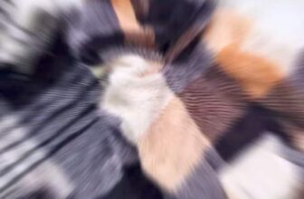 [🆕🇻🇳]  Baby Closet 🧑‍🧒❤️️👶⭐️  , shares-0✔️ , likes-3❤️️ , date-2024-07-30 12:11:55🇻🇳🇻🇳🇻🇳📰🆕