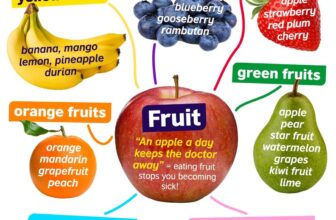 [🆕🇻🇳] British Council Vietnam English 📚 Top1Learn 📕 Bạn biết bao nhiêu từ tiếng Anh liên quan đến trái cây? Dưới đây là một số từ nhưng chắc hẳn bạn cũng biết những từ khác nữa.Hãy thử tạo một “sơ đồ tư du , shares-1✔️ , likes-14❤️️ , date-2024-08-02 01:01:58🇻🇳🇻🇳🇻🇳📰🆕