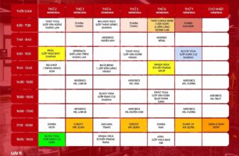 [🆕🇻🇳] TopGym Fitness & Yoga (Alpha Fitness)🧘 Top1Yoga 🤸🏻‍♀️ *LỊCH TẬP YOGA – GROUPX – ALPHA FITNESS TUẦN 05/08/2024 – 11/08/2024
=>>ALPHA Fitness kính gửi quý hội viên lịch tập #Yoga – #Dance – #Zumba tuần tớ , shares-0✔️ , likes-3❤️️ , date-2024-08-05 23:01:45🇻🇳🇻🇳🇻🇳📰🆕