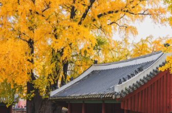 [🆕🇻🇳] Checkin và Du lịch Hàn Quốc – Korea Travel ♥️️ Top1Checkin ☑  Vẻ đẹp của Sungkyunkwan – Trường Đại học Đầu tiên tại Hàn Quốc, mỗi khi thu vềVới hai cây bạch quả có tuổi đời lên đến 600 năm, Sungkyunkwan trở thành đ , shares-0✔️ , likes-34❤️️ , date-2024-08-14 15:00:28🇻🇳🇻🇳🇻🇳📰🆕