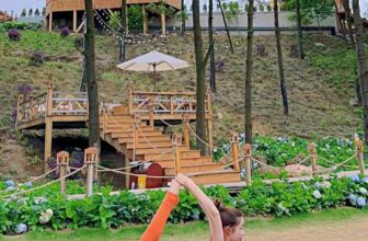 [🆕🇻🇳] Mỹ Dung Yoga – CHUYÊN SỶ, LẺ DỤNG CỤ, SÁCH YOGA  🧘 Top1Yoga 🤸🏻‍♀️ Set phối Đen cam e còn size SM
Lên form quá đẹp
, shares-1✔️ , likes-15❤️️ , date-2024-08-28 20:49:44🇻🇳🇻🇳🇻🇳📰🆕