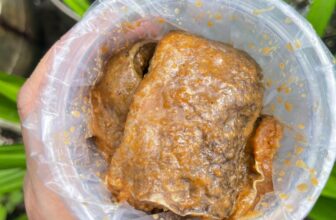 [🆕🇻🇳] BÀ NA FOOD – ĐẶC SẢN CÀ MAU 🍔 Top1Food 🍜 Ai thích ăn mắm linh và mắm lóc thì về đội em nhe, loại đặc biệt ngon nhe
#mamlinh #mamloc #mam
, shares-0✔️ , likes-82❤️️ , date-2024-08-27 20:06:25🇻🇳🇻🇳🇻🇳📰🆕