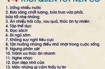 [🆕🇻🇳] Phát Triển Bản Thân – Be Better Than You Were Yesterday!!! 📚 Top1Learn 📕  , shares-8✔️ , likes-41❤️️ , date-2024-09-02 02:17:13🇻🇳🇻🇳🇻🇳📰🆕