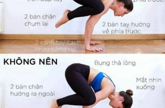 [🆕🇻🇳] Yoga Đam Mê 🧘 Top1Yoga 🤸🏻‍♀️ Nên và không nên trong các tư thế yoga
Chị em tham khảo nha
#st
#maiyoga
, shares-17✔️ , likes-67❤️️ , date-2024-09-05 21:53:14🇻🇳🇻🇳🇻🇳📰🆕