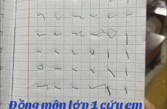 [🆕🇻🇳] Shop Bố Soup – Nơi mua sắm lý tưởng cho mẹ và bé 🧑‍🧒❤️️👶⭐️ Bth xem trên mạng cừi xễu, không nghĩ có ngày tới con mình
, shares-0✔️ , likes-1❤️️ , date-2024-09-05 14:00:17🇻🇳🇻🇳🇻🇳📰🆕