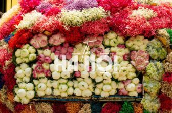 [🆕🇻🇳] Check in Vietnam – Cùng nhau trải nghiệm và và khám phá Việt Nam ♥️️ Top1Checkin ☑  Muốn hiểu thế nào là tình yêu, hãy đến Hà Nội vào những ngày chớm thu dịu dàng  “Hà Nội trước cơn bão, bầu trời nhẹ nhàng thế đó”  Ảnh của Hoài Giao trong  , shares-88✔️ , likes-17K❤️️ , date-2024-09-04 13:55:16🇻🇳🇻🇳🇻🇳📰🆕