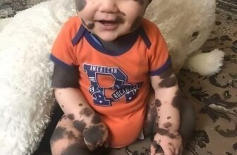 [🆕🇻🇳] Xưởng May Bánh Bao Kids – Cửa hàng quần áo sơ sinh & trẻ em 🧑‍🧒❤️️👶⭐️ Nếu Bạn Không Phải Người Vô Tâm
Xin đừng vội rời đi mà không dành cho các con một lời chúc bình an!
Kiếp con người mỏng manh như là gió
Sống trên đời có  , shares-0✔️ , likes-0❤️️ , date-2024-09-08 20:00:24🇻🇳🇻🇳🇻🇳📰🆕