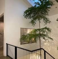 Có thể là hình ảnh về thiết bị chiếu sáng và trong nhà