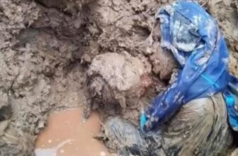 [🆕🇻🇳]  Quần áo trẻ em – Becungshop.vn – Shop quần áo trẻ em online uy tín rẻ đẹp chất lượng tại Tp HCM 🧑‍🧒❤️️👶⭐️ Chỉ ai làm mẹ rồi mới hiểu. Dù trái đất ngừng quay hay trời sập xuống, mẹ vẫn che chở cho con.!
, shares-1✔️ , likes-102❤️️ , date-2024-09-14 22:22:11🇻🇳🇻🇳🇻🇳📰🆕