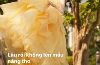 [🆕🇻🇳] KimLoan Wedding.Cho thuê nhận may Áo dài Dâu Rể, Bà Sui, bưng quả, Vest 🤵🏻 Top1Wedding 👰🏻  Mẫu cho cô dâu chụp hình &đi bàn quá đẹp
#Kimloanluxurydress#
, shares-0✔️ , likes-0❤️️ , date-2024-10-03 15:32:34🇻🇳🇻🇳🇻🇳📰🆕