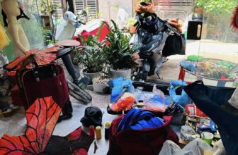 [🆕🇻🇳] Nhật Thực (Thực Tuti) 😎❤️️⭐️ Top1Kids 😎❤️️⭐️ Làm thế nào để ngủ mà vẫn biết trời mưa với sét đánh ầm ầm ạ. Nghe nói qua mưa to, sấm sét uỳnh uỳnh mà mình ngủ k biết gì luôn,… , shares-0✔️ , likes-47❤️️ , date-2024-09-15 18:33:12🇻🇳🇻🇳🇻🇳📰🆕