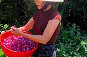 [🆕🇻🇳] BẾP CÔ LUYẾN – Đặc Sản Quảng Ngãi 🍔 Top1Food  🍜 Lets Go! Công Việc Hàng Ngày Của Cô Gái Cắt Hành #Hành Lý Sơn Phi Sẵn Thơm  Ngon Bổ Dưỡng #toilyson #hanhlyson #toibocsan #quangngai #xuhuong #trends #reel , shares-2✔️ , likes-20❤️️ , date-2024-09-26 01:18:11🇻🇳🇻🇳🇻🇳📰🆕