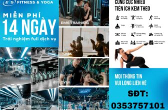 [🆕🇻🇳] TUYỂN DỤNG FITNESS, REVIEW PHÒNG TẬP  👁 Top1Jobs👥 Tập luyện thả ga tại 𝐄𝐌𝐒 𝐅𝐢𝐭𝐧𝐞𝐬𝐬 & 𝐘𝐨𝐠𝐚Tầng 2 G2 KĐT Five Star Garden số 2 Kim Giang, Thanh Xuân, Hà Nội.𝐂𝐡𝐢̉ 499𝐊 / 𝐭𝐡𝐚́𝐧𝐠𝐓𝐀̣̆𝐍𝐆 𝟕 𝐍𝐆𝐀̀𝐘 𝐓𝐀̣̂𝐏 𝐓𝐇𝐔̛ , shares-0✔️ , likes-1❤️️ , date-2024-09-24 23:48:09🇻🇳🇻🇳🇻🇳📰🆕