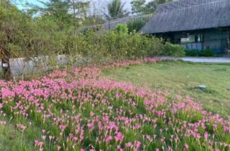 [🆕🇻🇳] QK Complex – Nhà hàng – Event – Bar Cafe – Spa 🍔 Top1Food  🍜 Hoa cỏ khoe sắc tại QK Complex
𝑸𝑲 𝑪𝑨𝑭𝑬́ & 𝑹𝑬𝑺𝑻𝑨𝑼𝑹𝑨𝑵𝑻
Mở cửa: 07:00-23:00
Địa chỉ: Số 1 Nguyễn Văn Trỗi, Đồng Hải, Đồng Hới, Quảng Bình.​
Điện thoạ , shares-0✔️ , likes-0❤️️ , date-2024-09-25 21:11:48🇻🇳🇻🇳🇻🇳📰🆕