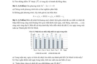 [🆕🇻🇳] Diễn đàn Toán học Việt Nam 📚 Top1Learn 📕 Đề minh họa môn Toán thi tuyển sinh lớp 10 TP HCM 2025 (theo chương trình mới)
, shares-38✔️ , likes-127❤️️ , date-2024-10-02 13:34:03🇻🇳🇻🇳🇻🇳📰🆕