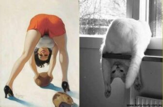 [🆕🇻🇳] Yêu Thú Cưng 🐶🦜 Top1Pets 🐱🐠 Bọn moé tưởng chúng nó là ngôi sao
#Méng
, shares-6✔️ , likes-299❤️️ , date-2016-05-26 02:30:33🐶🐱🇻🇳🇻🇳🇻🇳📰🆕