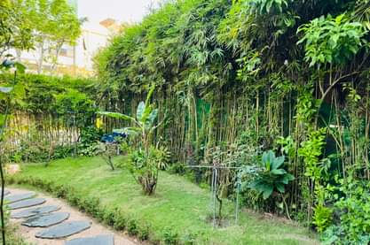 [☕️🇻🇳]  Minh Coffee 🥤 Top1Coffee ☕️ Quảng Bình đang trong những ngày mùa thu tuyệt vời, cùng cảm nhận khoảnh khắc đẹp nhất năm đầy yêu thương  Minh Coffee – Cá Koi  , shares-0✔️ , likes-0❤️️ , date-🇻🇳🇻🇳🇻🇳📰🆕