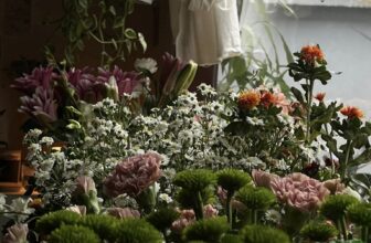 [☕️🇻🇳] Deadline Coffee 🥤 Top1Coffee ☕️ Bạn biết gì không !!!
Mùa thu sắp kết thúc rồi đấy  —————————————————————— D̶E̶A̶D̶L̶I̶N̶E̶ Địa chỉ: 102/11 Lê Lai, bạn có thể , shares-2✔️ , likes-14❤️️ , date-2024-10-10 18:57:20🇻🇳🇻🇳🇻🇳📰🆕