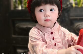 [🆕🇻🇳]  Đậu – Kids & Mom – thời trang thiết kế mẹ và bé 🧑‍🧒❤️️👶⭐️ Thiên thần nơi nào ghé chơi nhà Đậu đâyEm bé nhí trong mẫu áo dài ” 𝑵𝒉𝒖̛ 𝒀́ ” bestseller của nhà Đậu ạ.
Các mẹ đừng quên nhà Đậu vẫn luôn sẵn size cho  , shares-4✔️ , likes-11❤️️ , date-2024-10-11 04:29:49🇻🇳🇻🇳🇻🇳📰🆕