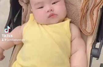 [🆕🇻🇳]  Jami Baby Store – Chuyên hàng body xuất dư trẻ em Carter, Geo, Old Navy chuẩn 100% 🧑‍🧒❤️️👶⭐️ Cute pho mai que
, shares-0✔️ , likes-0❤️️ , date-2024-10-15 22:42:41🇻🇳🇻🇳🇻🇳📰🆕