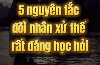 [🆕🇻🇳] Phát Triển Bản Thân – Be Better Than You Were Yesterday!!! 📚 Top1Learn 📕 #phattrienbanthan #baihoc #PhatTrienBanThan2020 #suyngam #baihoccuocsong #phattrienbanthan272
, shares-0✔️ , likes-0❤️️ , date-2024-10-18 01:41:50🇻🇳🇻🇳🇻🇳📰🆕