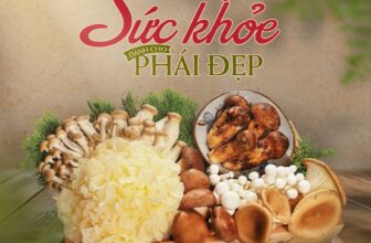 [🆕🇻🇳] ASHIMA MUSHROOM HOTPOT là chuỗi nhà hàng LẨU NẤM THIÊN NHIÊN 🍔 Top1Food 🍜 SET NẤM KIÊU SA – HƯƠNG VỊ TINH TẾ CHO PHÁI ĐẸPTrong những thức quà của thiên nhiên, nấm không chỉ là tinh hoa của vị giác mà còn là nguồn dưỡng chất qu , shares-0✔️ , likes-8❤️️ , date-2024-10-15 00:00:51🇻🇳🇻🇳🇻🇳📰🆕