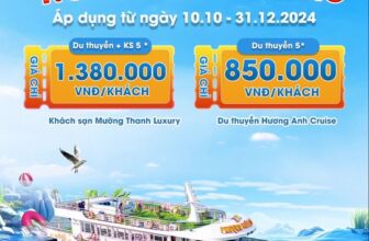 [🆕🇻🇳] Hương Anh Yoga Center 🧘 Top1Yoga 🤸🏻‍♀️ Livestream combo du thuyền deal cực hot! , shares-0✔️ , likes-1❤️️ , date-2024-10-16 18:28:42🇻🇳🇻🇳🇻🇳📰🆕