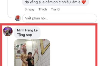 [🆕🇻🇳] Chi Store – Thời trang cho bé Yêu 🧑‍🧒❤️️👶⭐️ Bà nội Minh Hang Le biết đến và mua hàng shop từ năm 2022 -2023- giờ đến năm nay 2024 rùi ạ.  Bà nội mua 6 bộ làm quà cho các cháu bé nhân ngày sinh nhật.  , shares-0✔️ , likes-3❤️️ , date-2024-10-15 15:05:15🇻🇳🇻🇳🇻🇳📰🆕