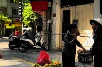 [🆕🇻🇳]  ĐỨC HỮU BABY – Chuyên buôn bán áo quần trẻ em 🧑‍🧒❤️️👶⭐️ Thời tiết thật dễ chịu mà các bà nóng tính ghê !!!  #DucHuuBaby #Khoanhkhac #Reel
, shares-0✔️ , likes-0❤️️ , date-2024-10-17 17:16:04🇻🇳🇻🇳🇻🇳📰🆕