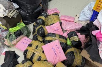 [🆕🇻🇳]  Dâu Tây Store – Chuyên thời trang cho bé 🧑‍🧒❤️️👶⭐️ Tuần này nhà Q có tiệc nên off live vài ngày mn cần gì cứ vào trang xem nha có up đầy đủ đồ sẵn nha mn  mãi iu
, shares-0✔️ , likes-7❤️️ , date-2024-10-15 22:19:42🇻🇳🇻🇳🇻🇳📰🆕