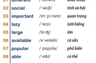 [🆕🇻🇳] Học Tiếng Anh cùng SAM – chuyên luyện thi môn Tiếng Anh Cấp 1,2,3 & IELTS tại Hà Nội 📚 Top1Learn 📕  Các tính từ cơ bản trong Tiếng Anh (Phần 1)Tính từ là một ngữ pháp cơ bản trong Tiếng Anh, việc nhận biết và sử dụng tính từ là một phần quan trọng tron , shares-8✔️ , likes-10❤️️ , date-2024-10-18 20:00:24🇻🇳🇻🇳🇻🇳📰🆕
