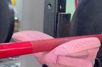 [🆕🇻🇳] A.C.E Private Gym – dịch vụ huấn luyện cá nhân chất lượng cao 🏋️ Top1Gym 💪 Most alpha leg exercise #fypシviralシ2024 #fitness #legday #ACECoaching #privategym #j4f
Phần lớn bài tập chân alpha nhất #fypシviralシ2024 #fitness #legday #A , shares-0✔️ , likes-0❤️️ , date-2024-10-19 13:31:06🇻🇳🇻🇳🇻🇳📰🆕