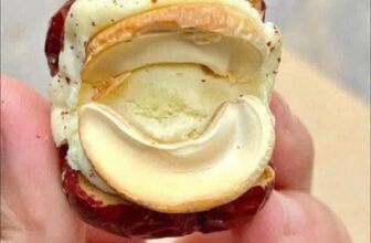 [🆕🇻🇳]  Kids House VN – Chuyên đồ Mẹ và Bé VNXK, TQXK, Cambodia 🧑‍🧒❤️️👶⭐️  SET 500G TÁO ĐỎ KẸP SỮA LẠCCoi Ngân 98 múc bang Táo Đỏ Kẹp Sữa hạt điều ăn siu dính luôn  Nó ngon, dẻo ngọt, siu béo, bên trong có hạt nưax, cuốn lắm.  , shares-0✔️ , likes-0❤️️ , date-2024-10-17 15:30:52🇻🇳🇻🇳🇻🇳📰🆕