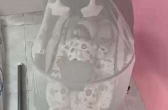 [🆕🇻🇳] Kitty Shop – Chuyên Thời Trang Cho Bé Từ Sơ Sinh 🧑‍🧒❤️️👶⭐️ Trộm vía. Em bé dùng nôi Suri Baby nhà Kitty Shop cưng quá đi a
, shares-0✔️ , likes-0❤️️ , date-2024-10-18 14:41:03🇻🇳🇻🇳🇻🇳📰🆕