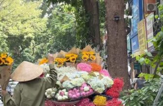 [🆕🇻🇳] 𝗛𝗮𝗽𝗽𝘆 𝗛𝗮𝗵𝗮𝗵𝗮 𝗦𝘁𝘂𝗱𝗶𝗼 (Hàng nhập cao cấp) 👕 Top1Fashion 👗   , shares-0✔️ , likes-8❤️️ , date-2024-10-19 16:32:15🇻🇳🇻🇳🇻🇳📰🆕