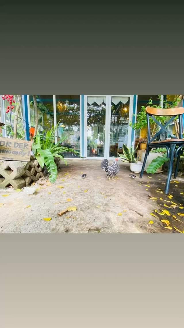 [☕️🇻🇳] KUMO CHAN Coffee and Garden 🥤 Top1Coffee ☕️ Bình thường, bình dị và bình yên.  Kumo Chan mong muốn tạo ta những hình ảnh thân thuộc, bình dị khi bạn ghé thăm.
.——————
KUM , shares-0✔️ , likes-0❤️️ , date-2024-10-19 19:23:11🇻🇳🇻🇳🇻🇳📰🆕