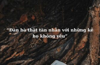 [🆕🇻🇳] Mê Đọc Sách – Trang sách mở ra, trời xa xích lại  📚 Top1Book 📖 “Đàn bà thật tàn nhẫn với những kẻ họ không yêu”
( Trà Hoa Nữ )
#Medocsach #BNA #PLC
, shares-12✔️ , likes-393❤️️ , date-2024-10-19 00:05:52🇻🇳🇻🇳🇻🇳📰🆕📚