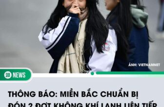 [🆕🇻🇳] Gạo Baby – Chuyên QC Cho Bé 🧑‍🧒❤️️👶⭐️ Cbi đồ mặc lạnh thui nào các mom
Đến lúc lạnh lại ko có quần áo đẹp cho bé yêu mặc
X-ả khoác phao gi-á re? lắm nha
Chấm bài mẹ Gạo check đơn sớm nhất , shares-0✔️ , likes-52❤️️ , date-2024-10-18 18:14:14🇻🇳🇻🇳🇻🇳📰🆕